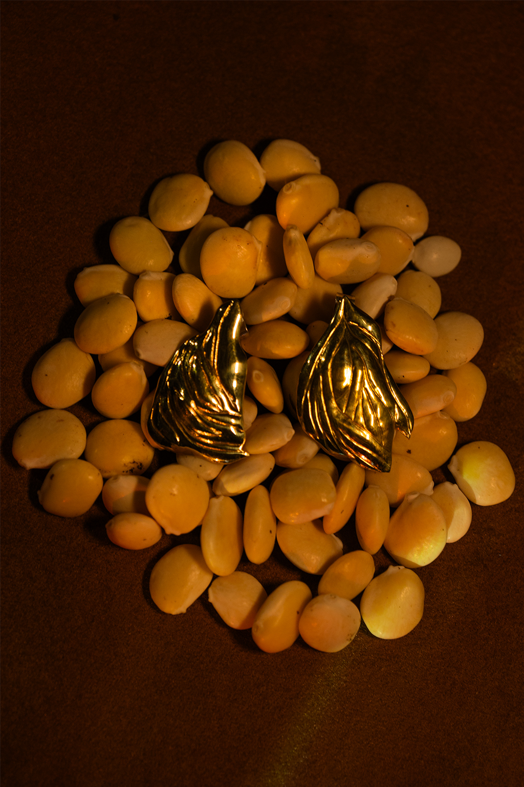 Aretes Microflorecer Chocho | Lia Padilla